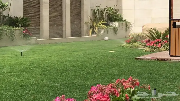 ثيل طبيعي ياباني انتورو فرنسي c2000 ثيل الظل عشب ثيل ملاعب 7