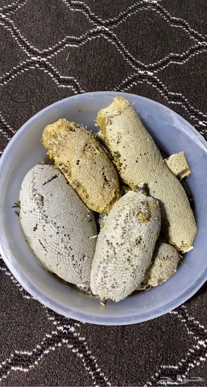 عسل سمر جبلي حر 0