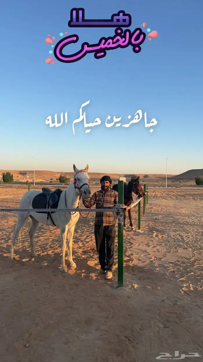خدمات مربطنا أسعار منافسه 2