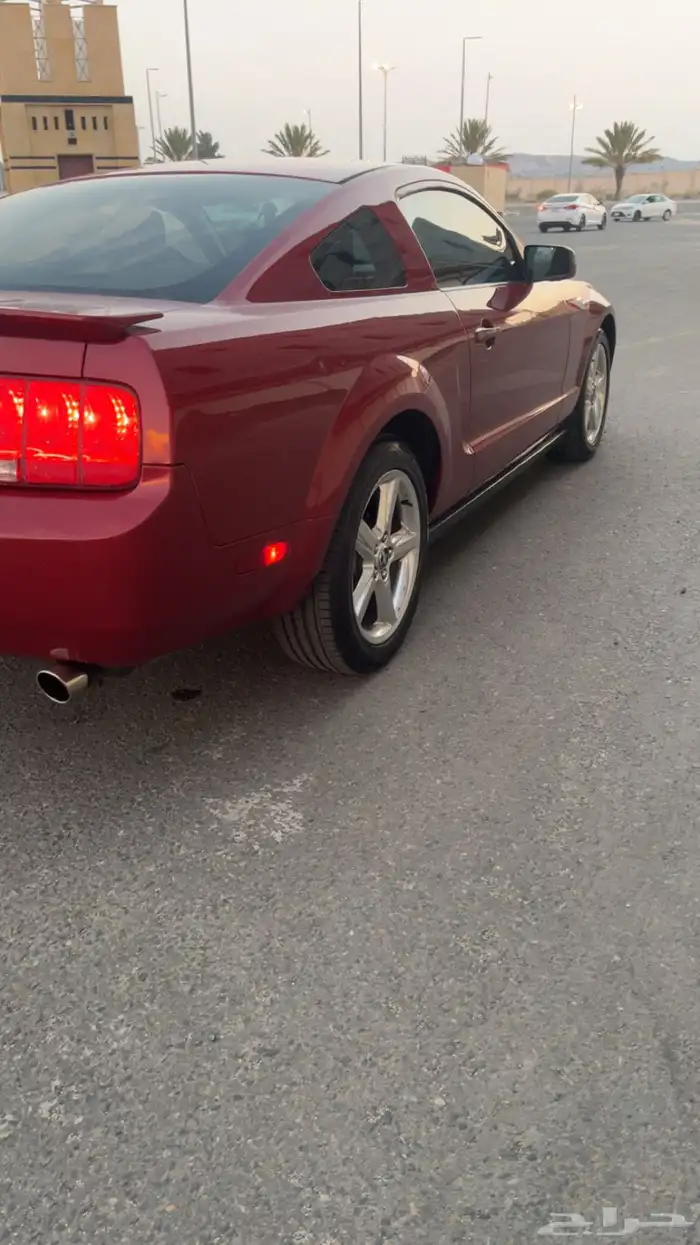موستنق للبيع 16