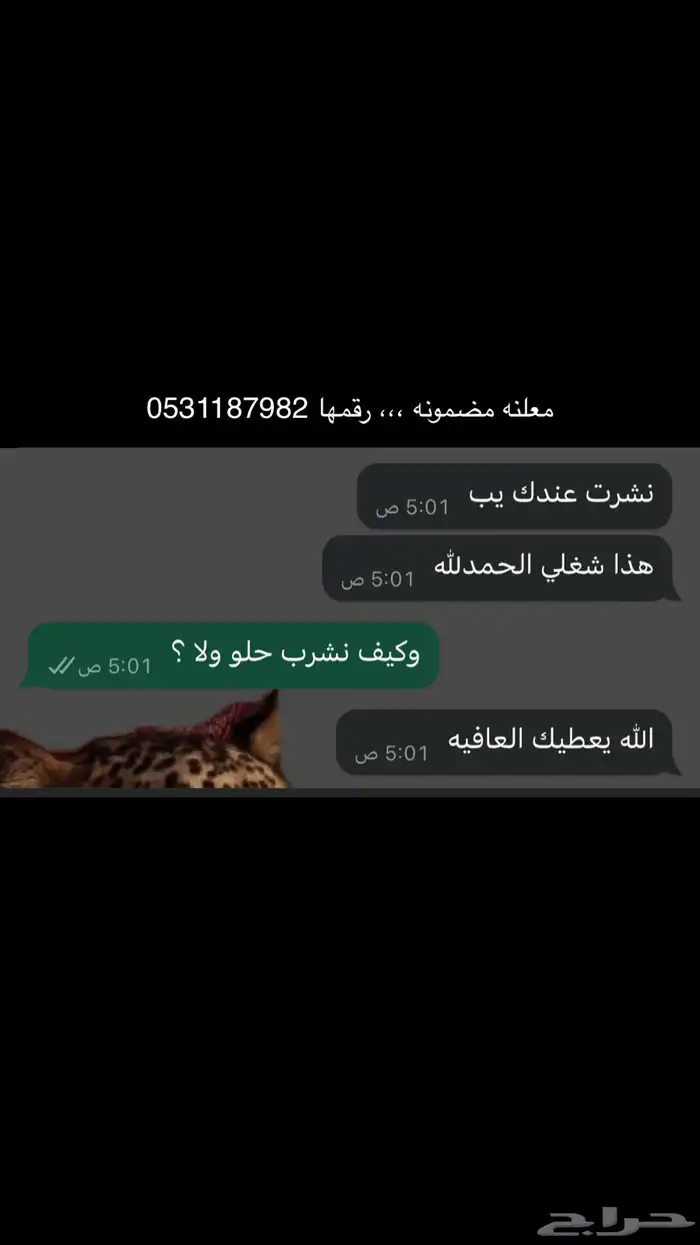 نشر ودعم جميع التواصل الاجتماعي 11