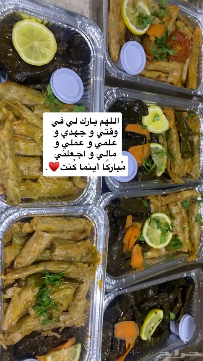 ملفوف وورق عنب 1