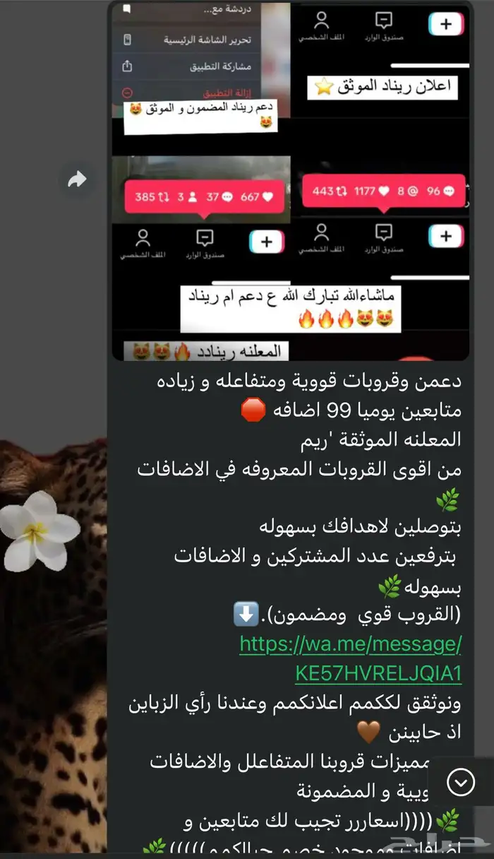 نشر ودعم جميع التواصل الاجتماعي 47