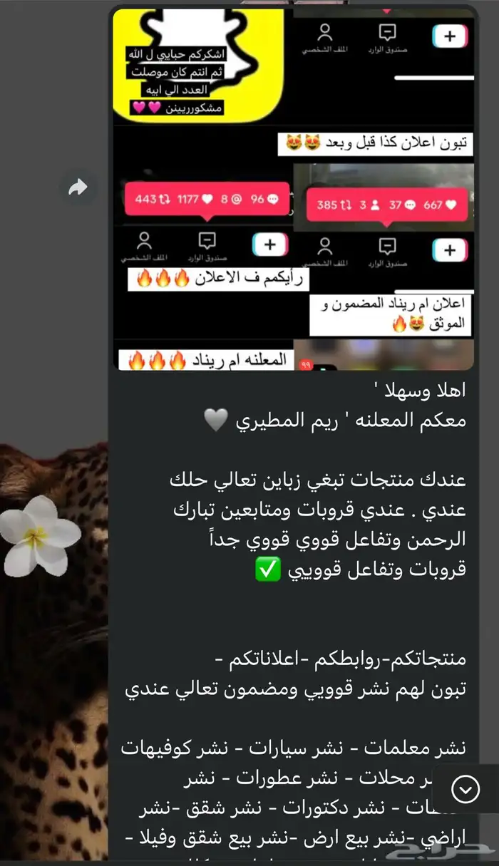 نشر ودعم جميع التواصل الاجتماعي 54