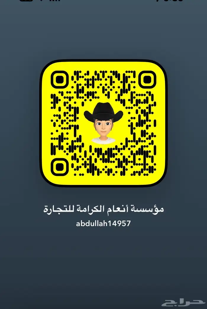 بيع خرفان اغنام كاش وتابي وتمارا 0