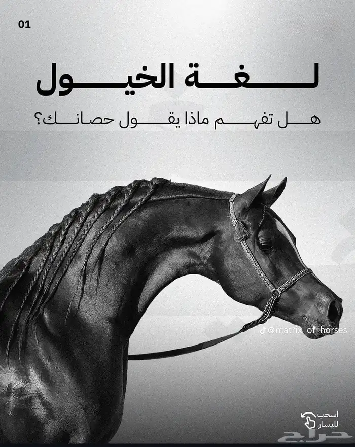 خدمات مربطنا أسعار منافسه 0