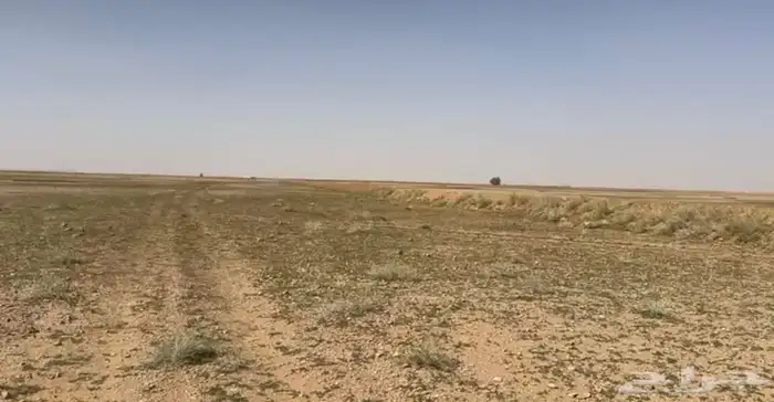 للبيع ارض زراعيه فيها رخصه 2