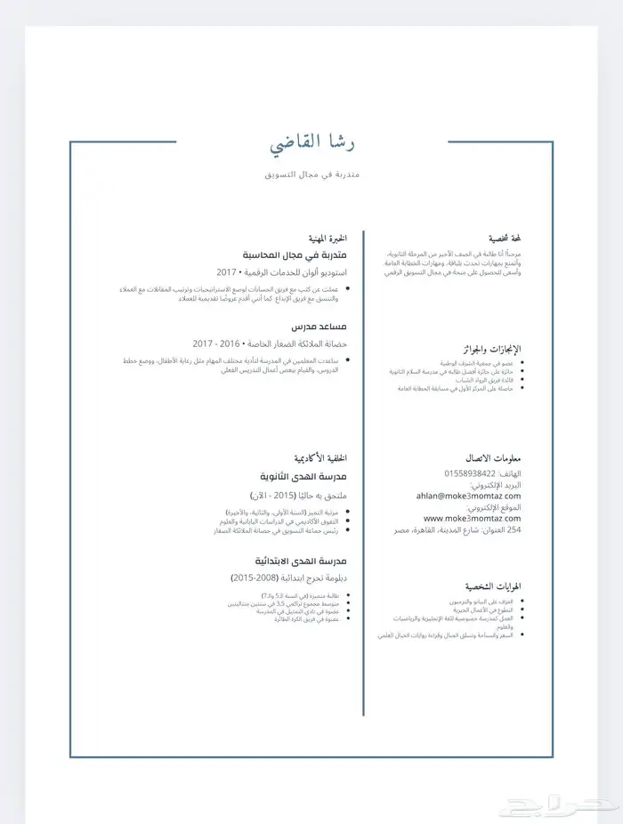 تصميم سيرة ذاتيه بسعر رمزي 2