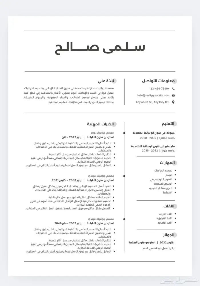 تصميم سيرة ذاتيه بسعر رمزي 3