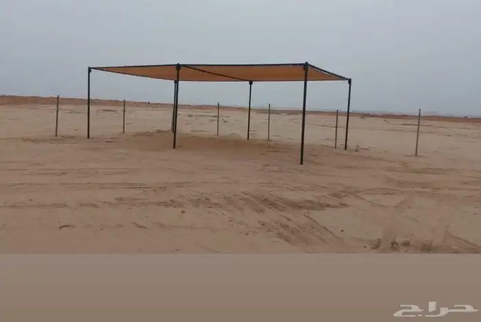 مظلات الابل 0