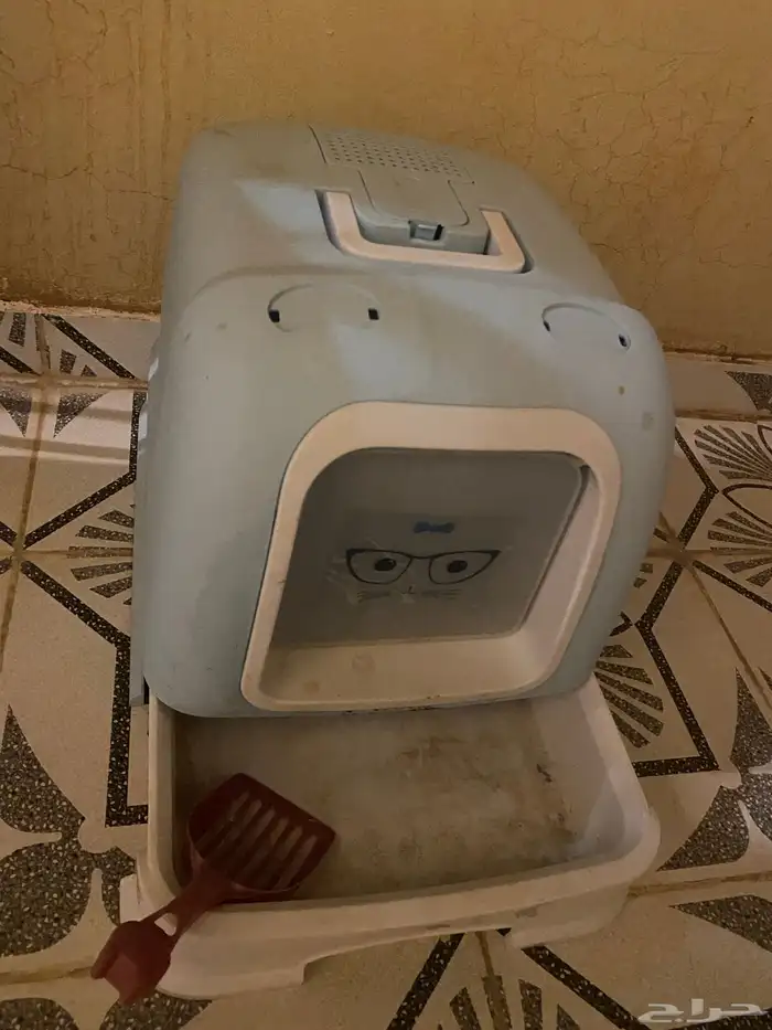 بوكس قطط 2
