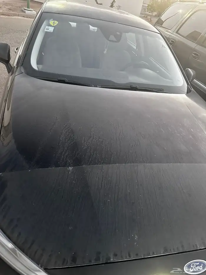 تورس 2020 7