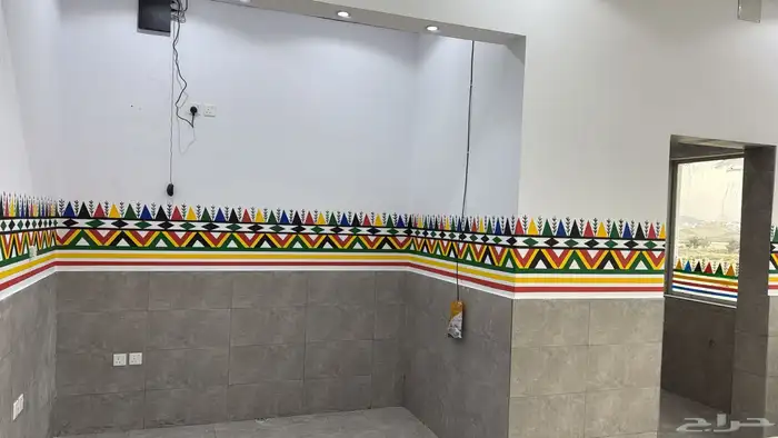 الرسام القط العسيري 6