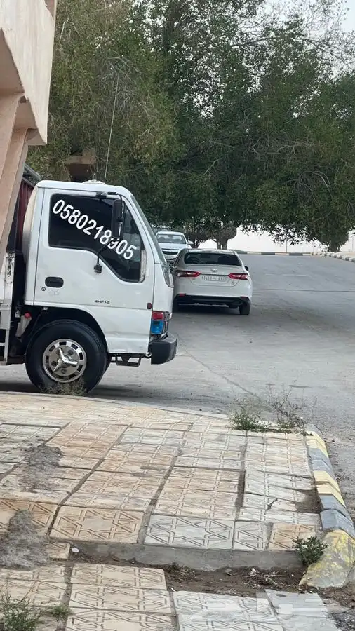 دينا دنه رفحاء 0