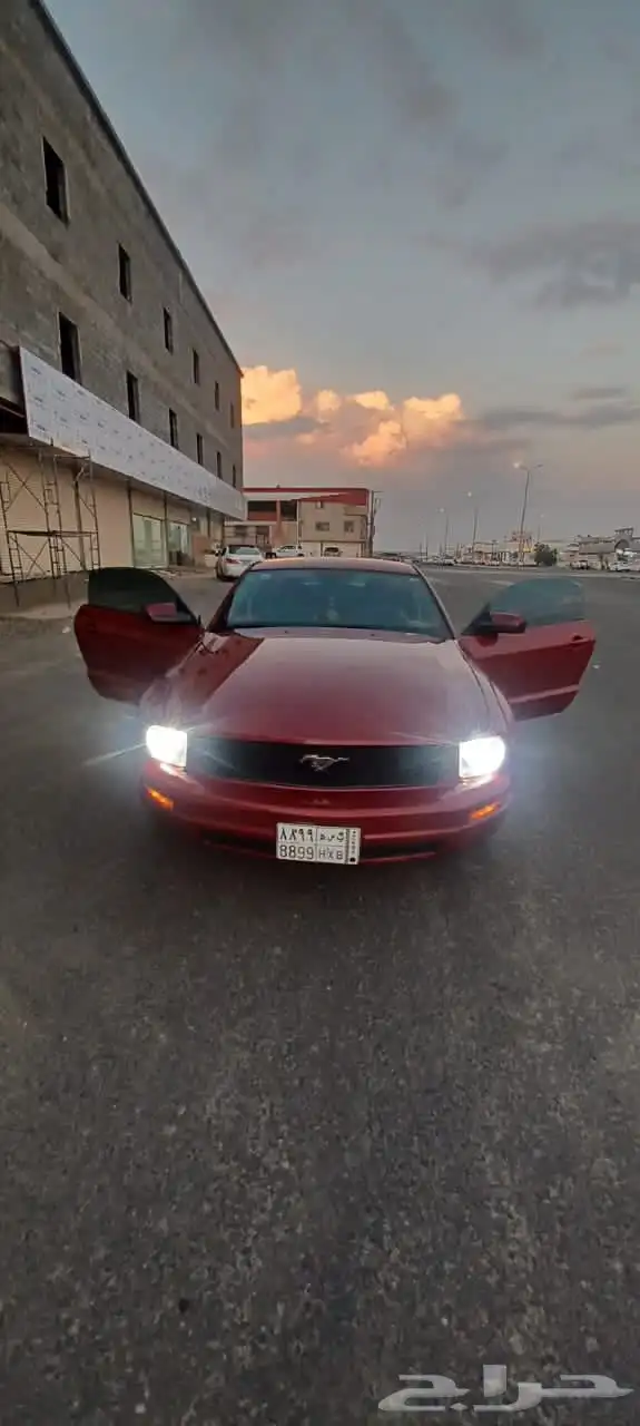 موستنق للبيع 14