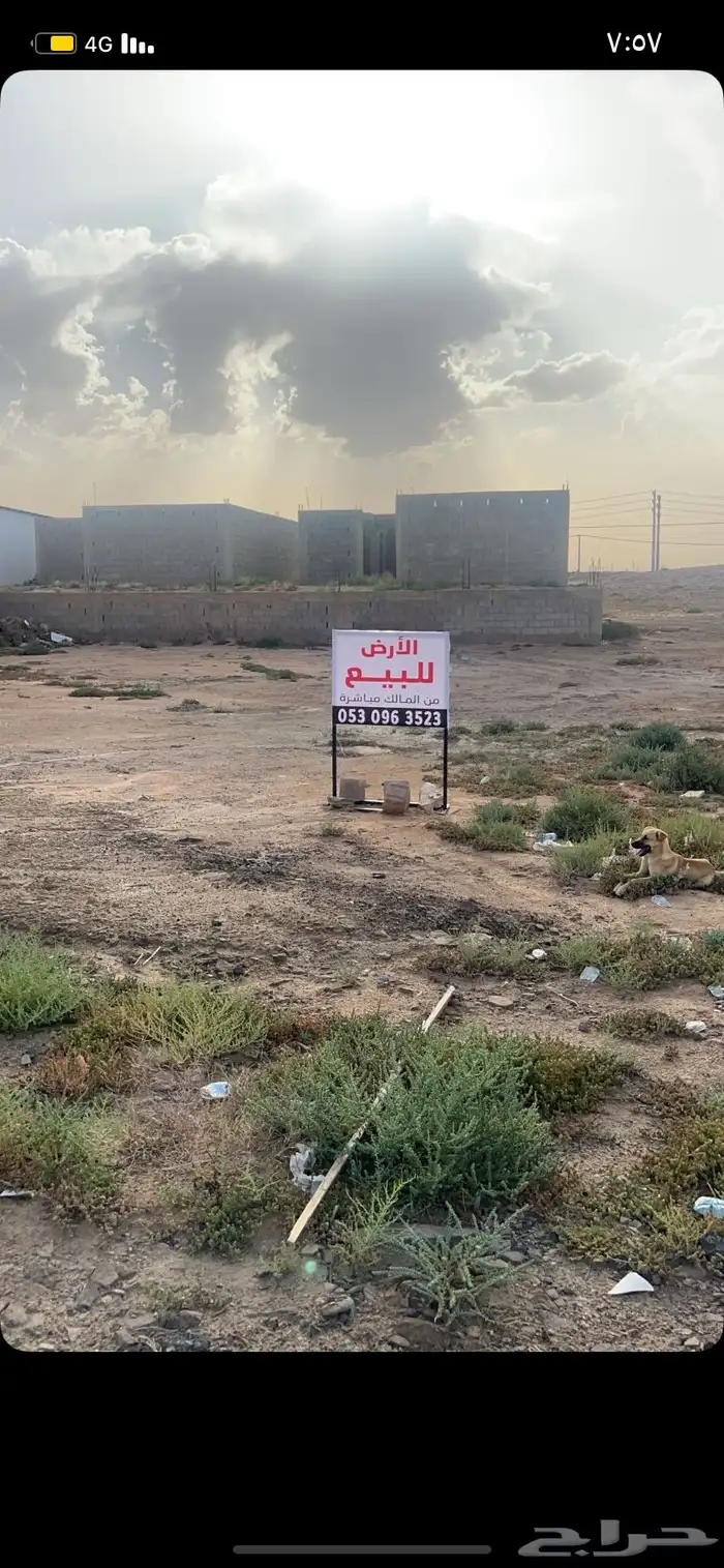 ارض المساحة 500م للبيع وسط محافظة بقعاء 0