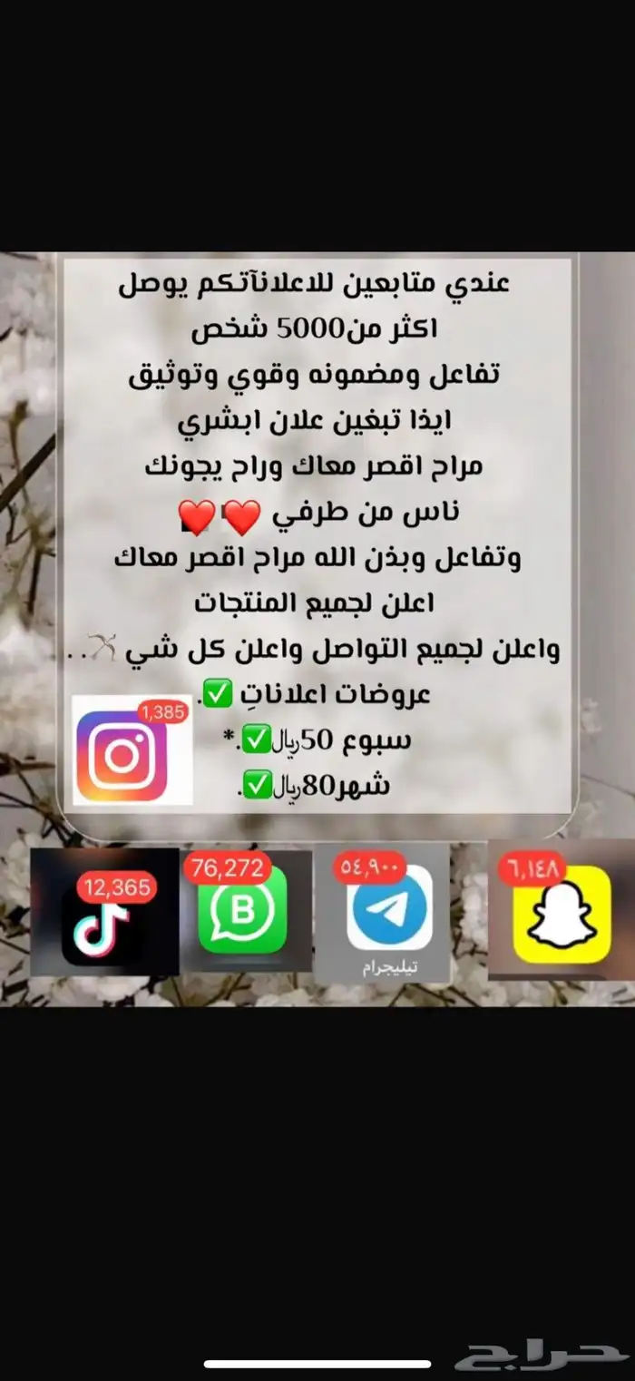 نشر ودعم جميع التواصل الاجتماعي 23