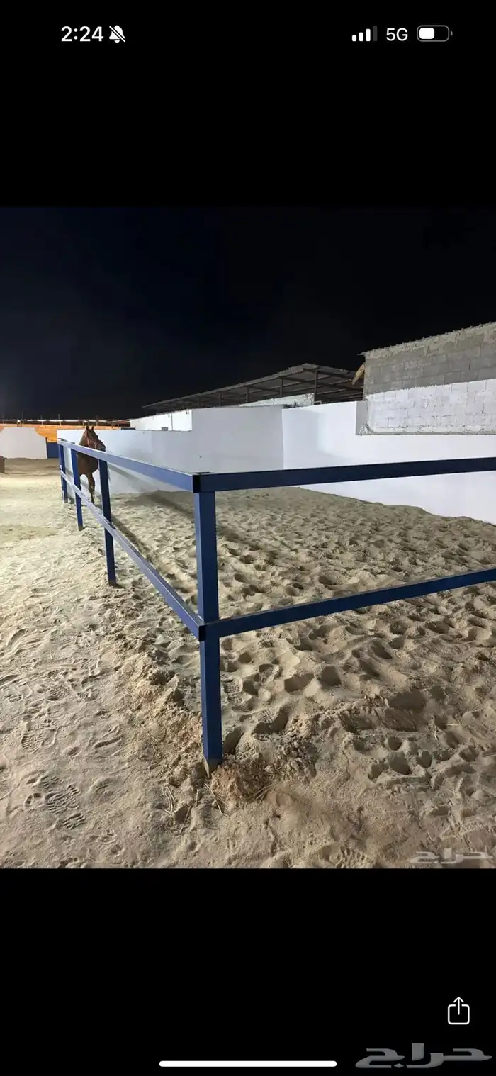 إعلان إيواء خيل 3