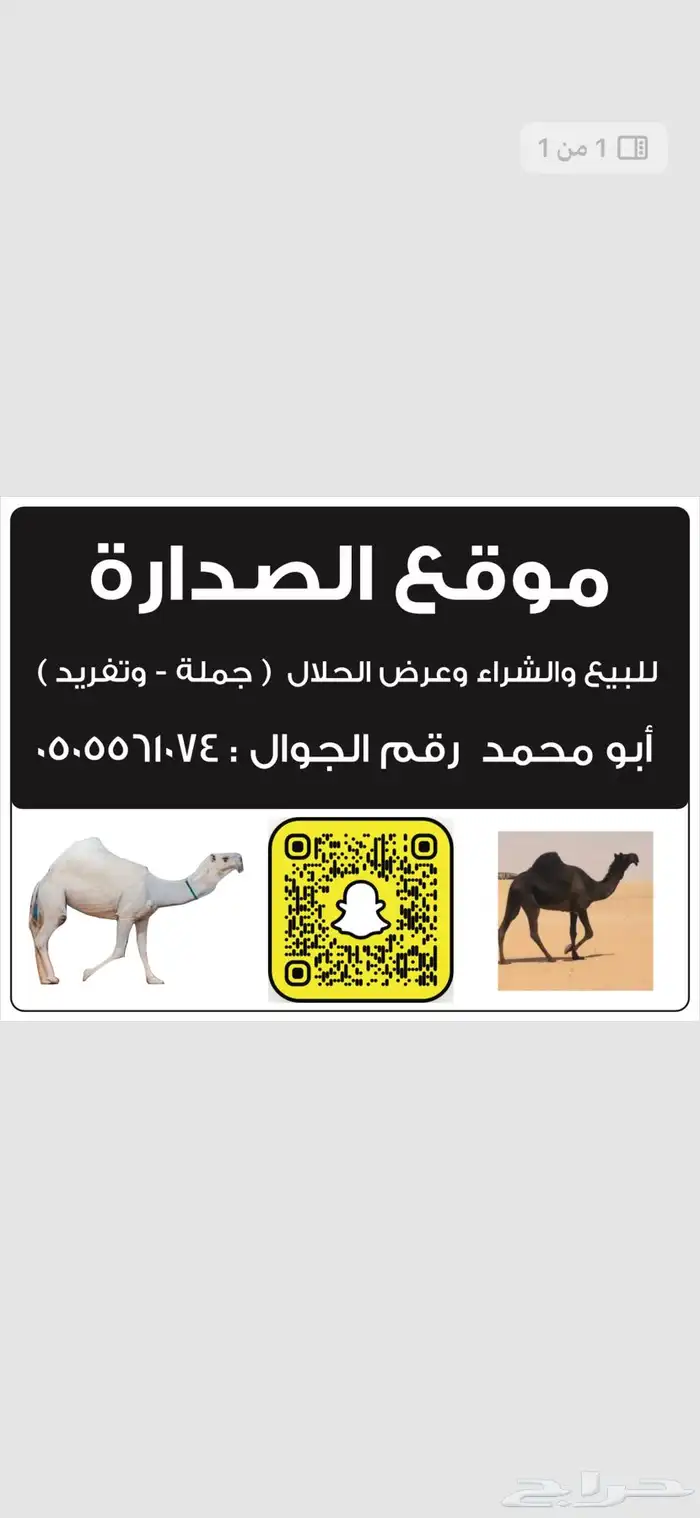 ابل 0