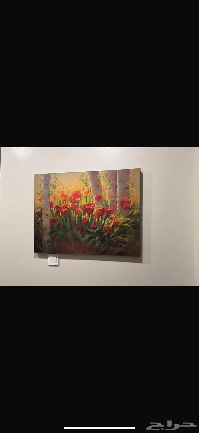 برواز حائط 0