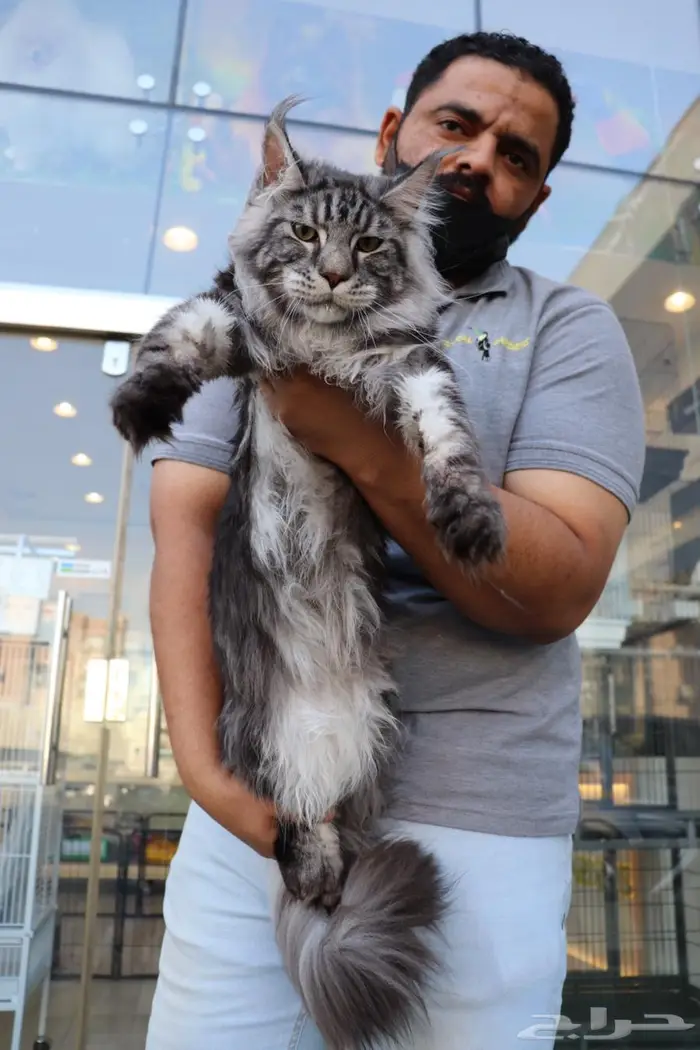 تم البيع Sold out 6