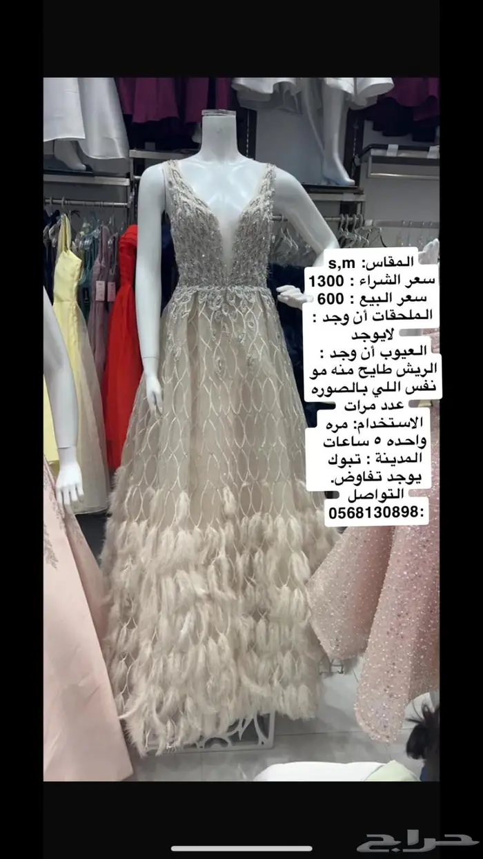 القادسية 0