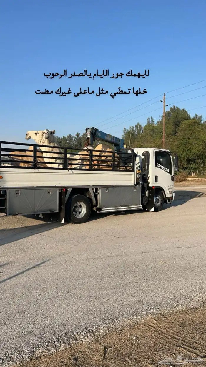 دينه وانش في خميس مشيط وضواحيها 1