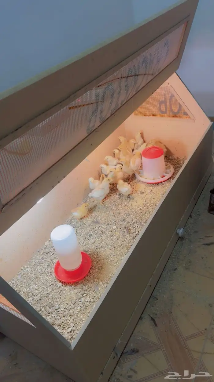 حضانه اتوماتيك 0
