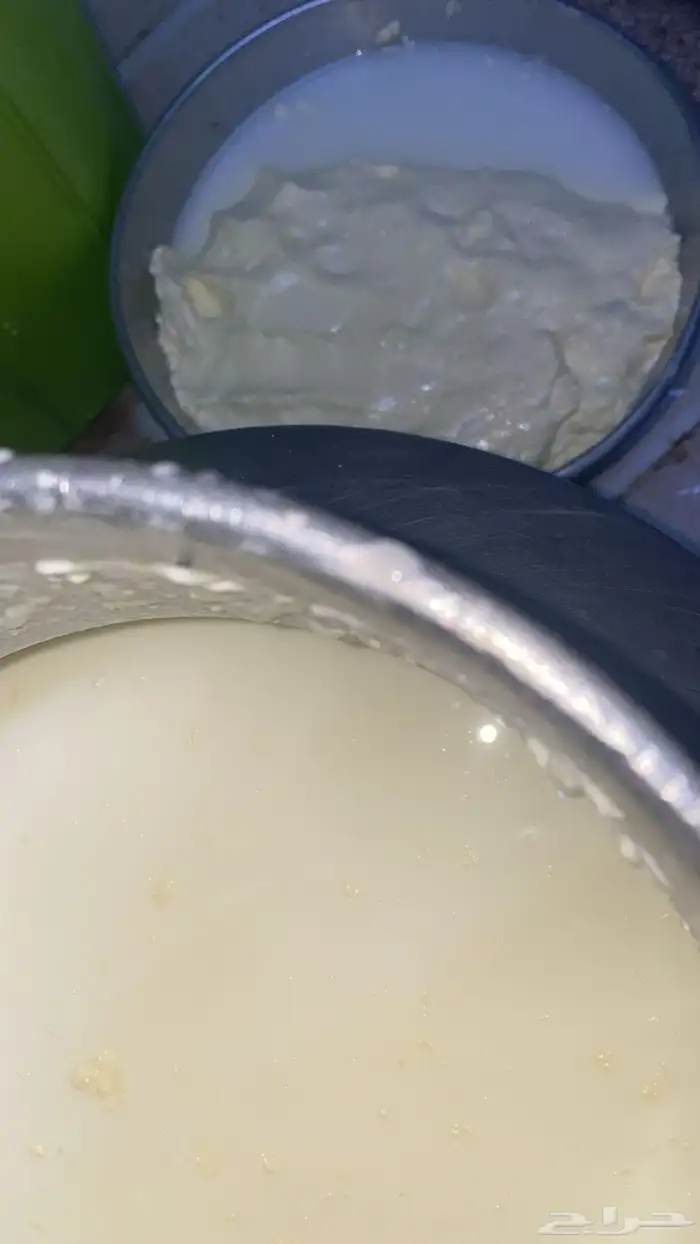 حوامض بقر بلدي يوجد لبن بقر كل حبه ب 10 ريال 3