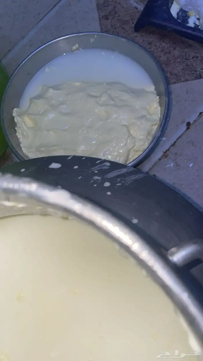 حوامض بقر بلدي يوجد لبن بقر كل حبه ب 10 ريال 2