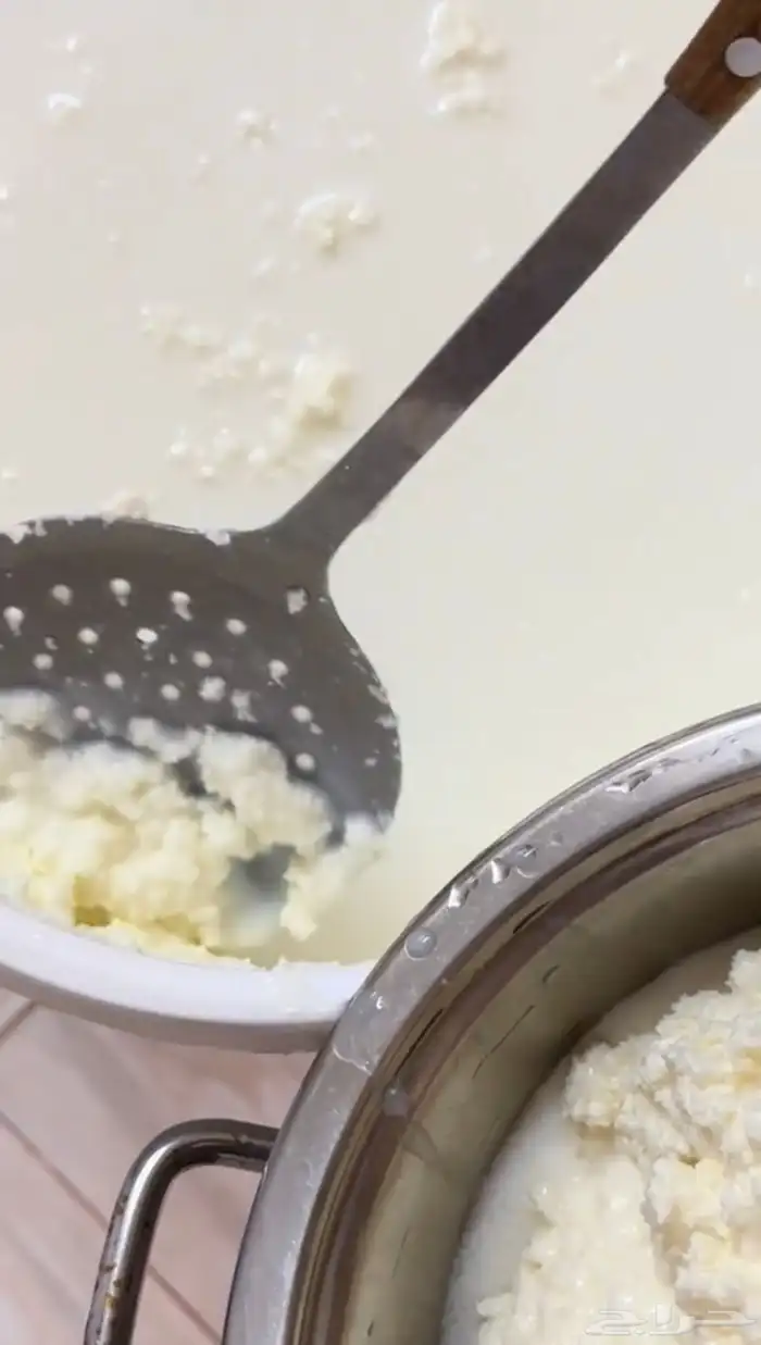 حوامض بقر بلدي يوجد لبن بقر كل حبه ب 10 ريال 6