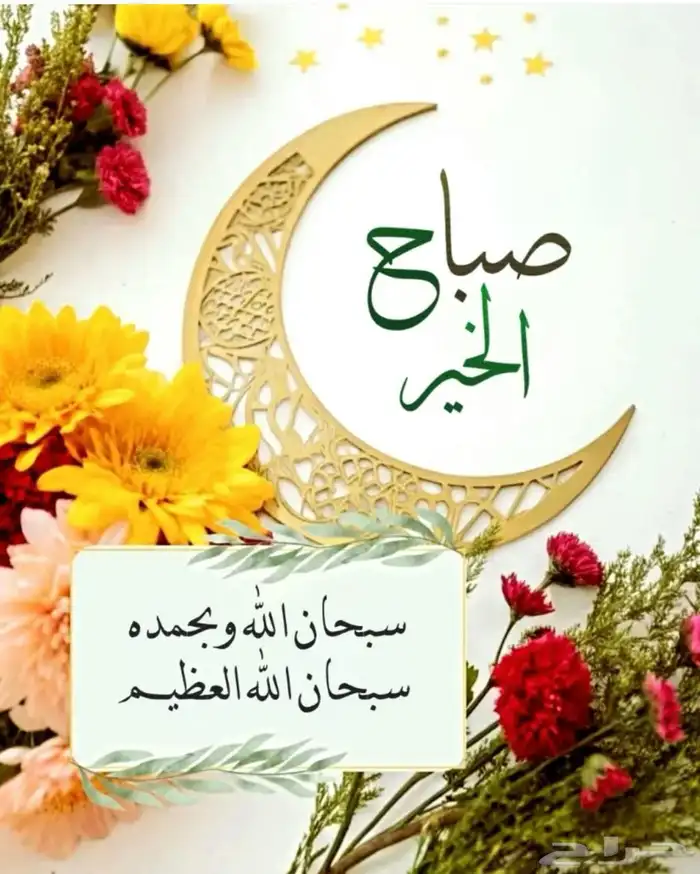 معلم سعودي خاص   رياضيات ابتدائي ومتوسط ومتابعة 0