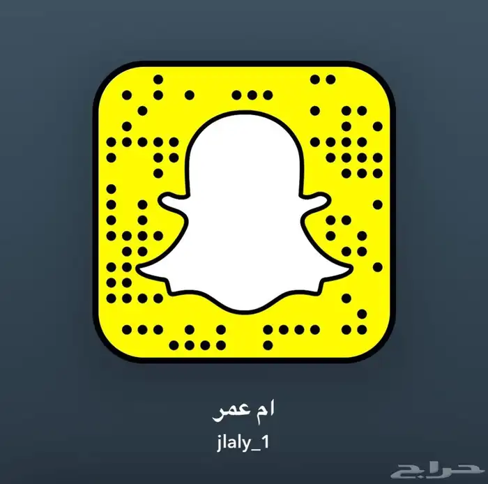 حايل 4