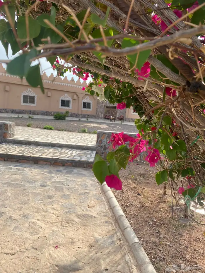 فني زراعي 20