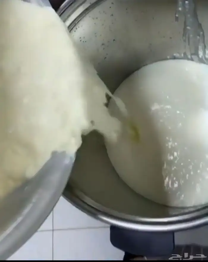 حوامض بقر بلدي يوجد لبن بقر كل حبه ب 10 ريال 8
