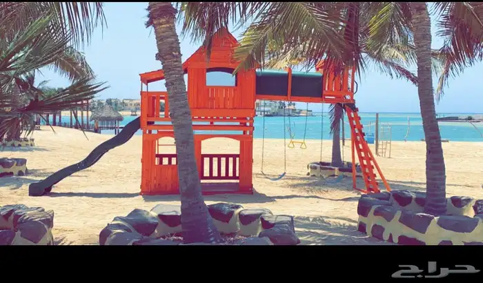 عرض درة العروس يوم عليك يوم علينا 59