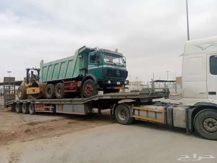 لوبد متواجد فالجنوب 1