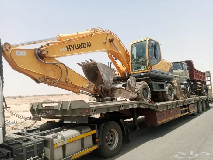 لوبد متواجد فالجنوب 0