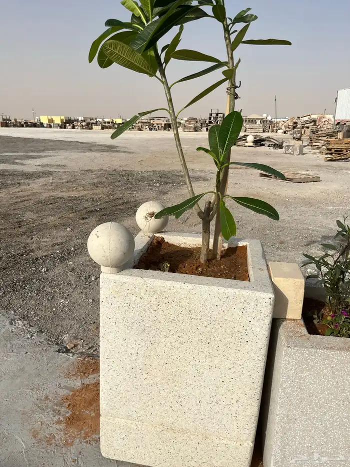 احواض نباتات 0