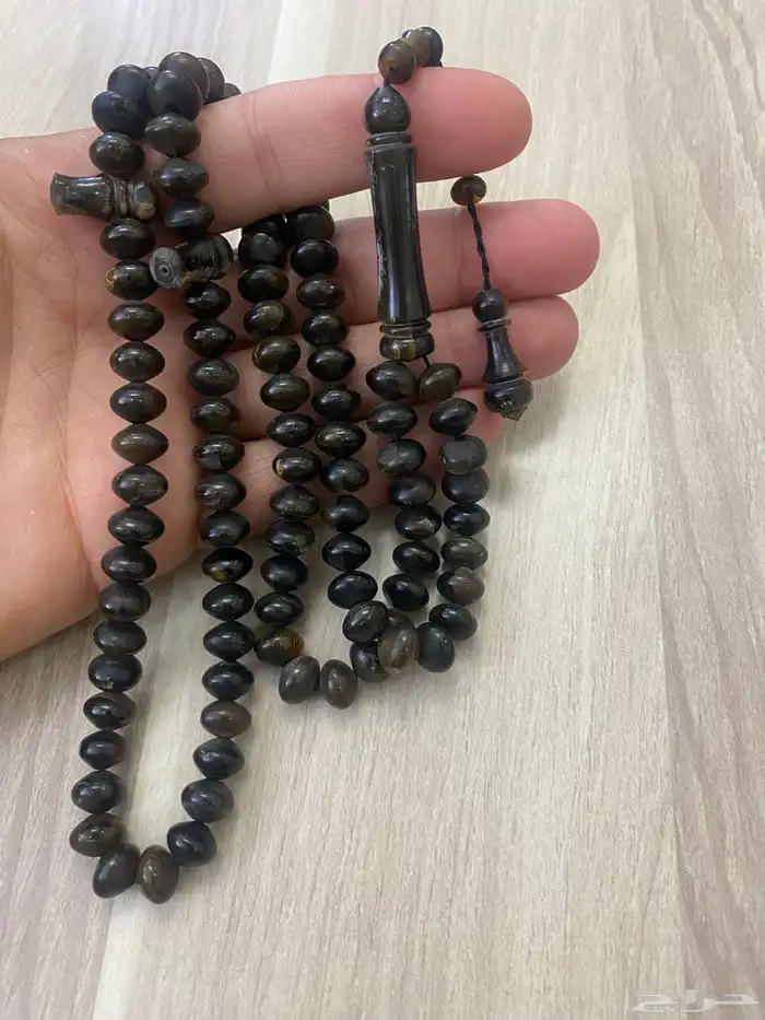 مسباح ترسة ..صدفة ظهر السلحفاة 1