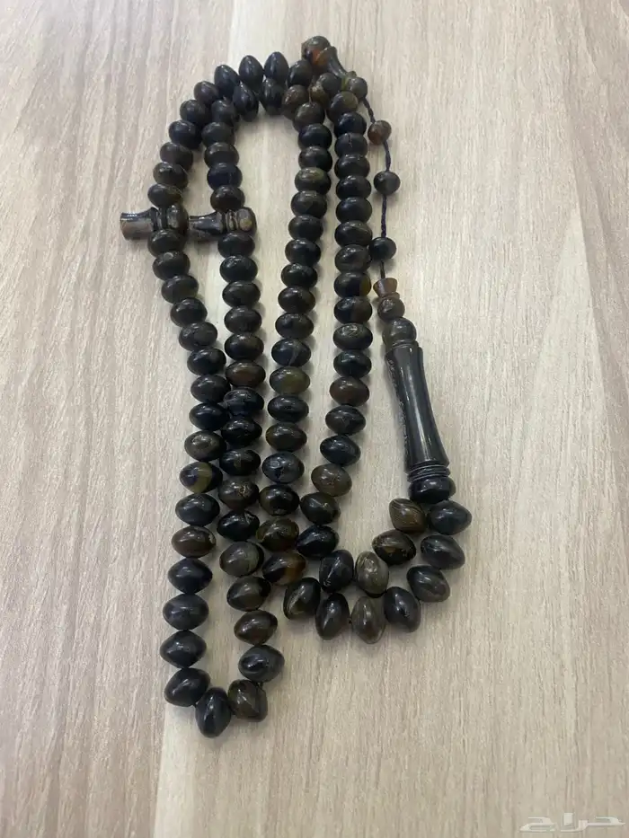 مسباح ترسة ..صدفة ظهر السلحفاة 7