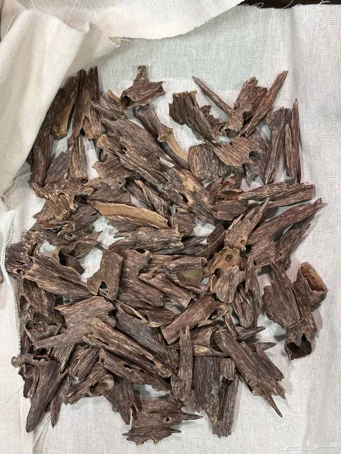 هندي موري جامبو 1