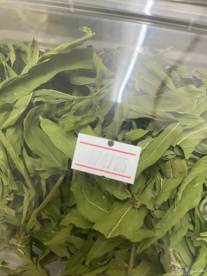 حبق للبيع 3