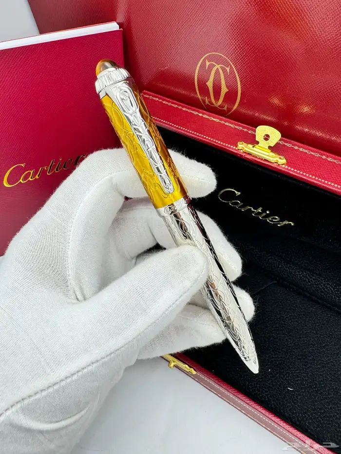 اقلام رجالية 25