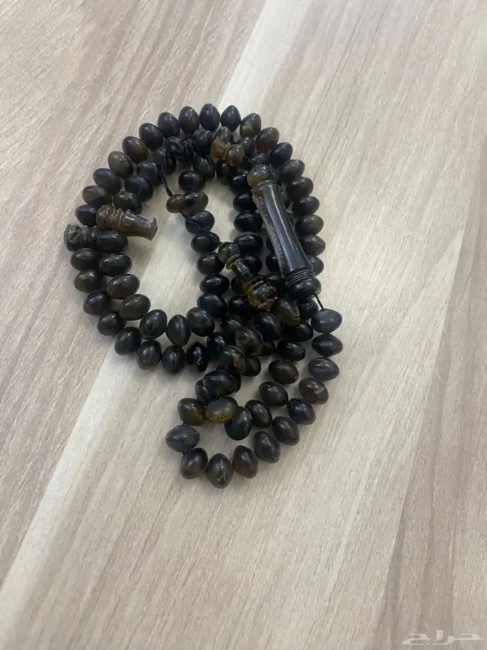 مسباح ترسة ..صدفة ظهر السلحفاة 6