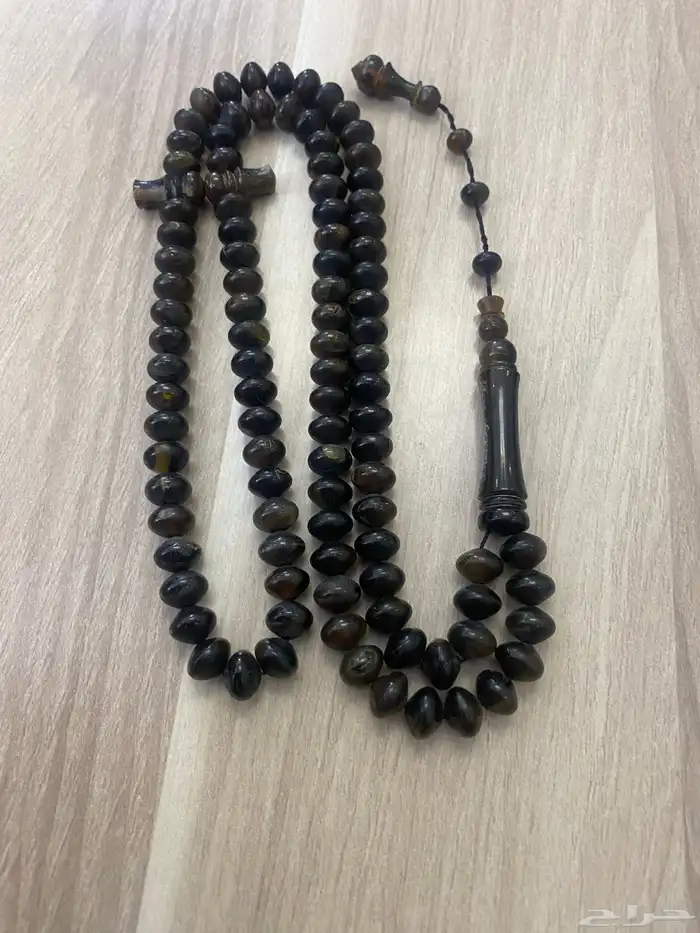 مسباح ترسة ..صدفة ظهر السلحفاة 0