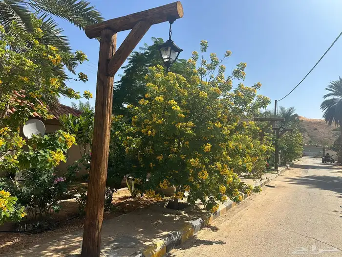 فني زراعي 24