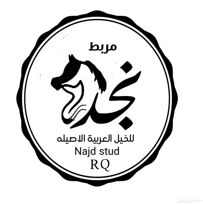 مربط نجد RQ ايواء خيل تدريب عسف 0