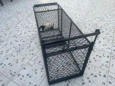 مصيدة حيونات 0