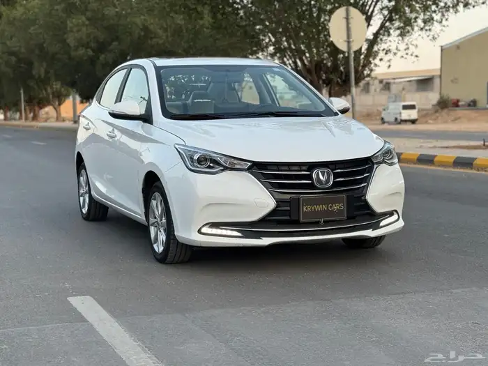 شانجان السفن 2025 1